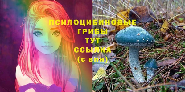 герыч Абаза