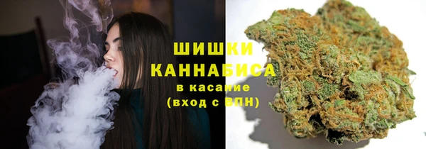 PSILOCYBIN Абдулино