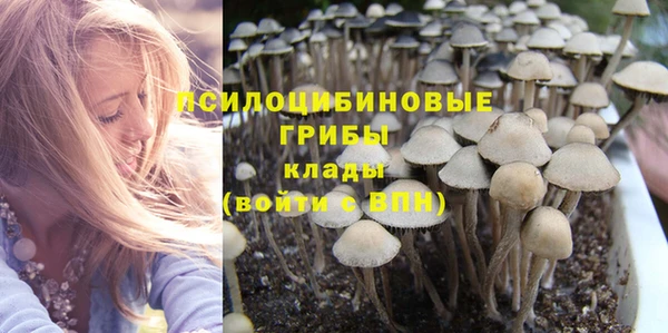 PSILOCYBIN Абдулино