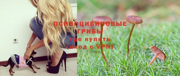 молекула духа Абинск