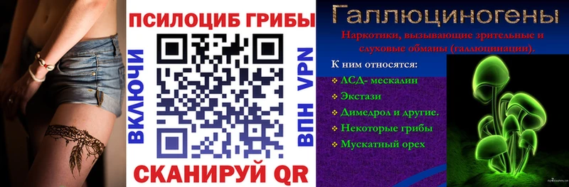 Псилоцибиновые грибы Cubensis  Алдан 